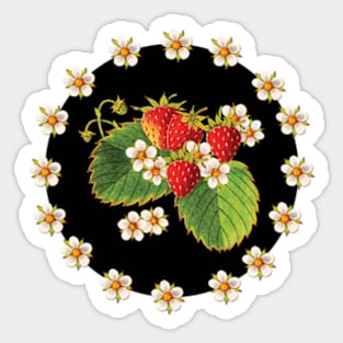 Strawberry Fields Sticker